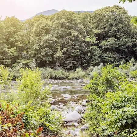 Immersi Nella Natura Con Accesso Al Fiume Maggia Дом отдыха Локарно